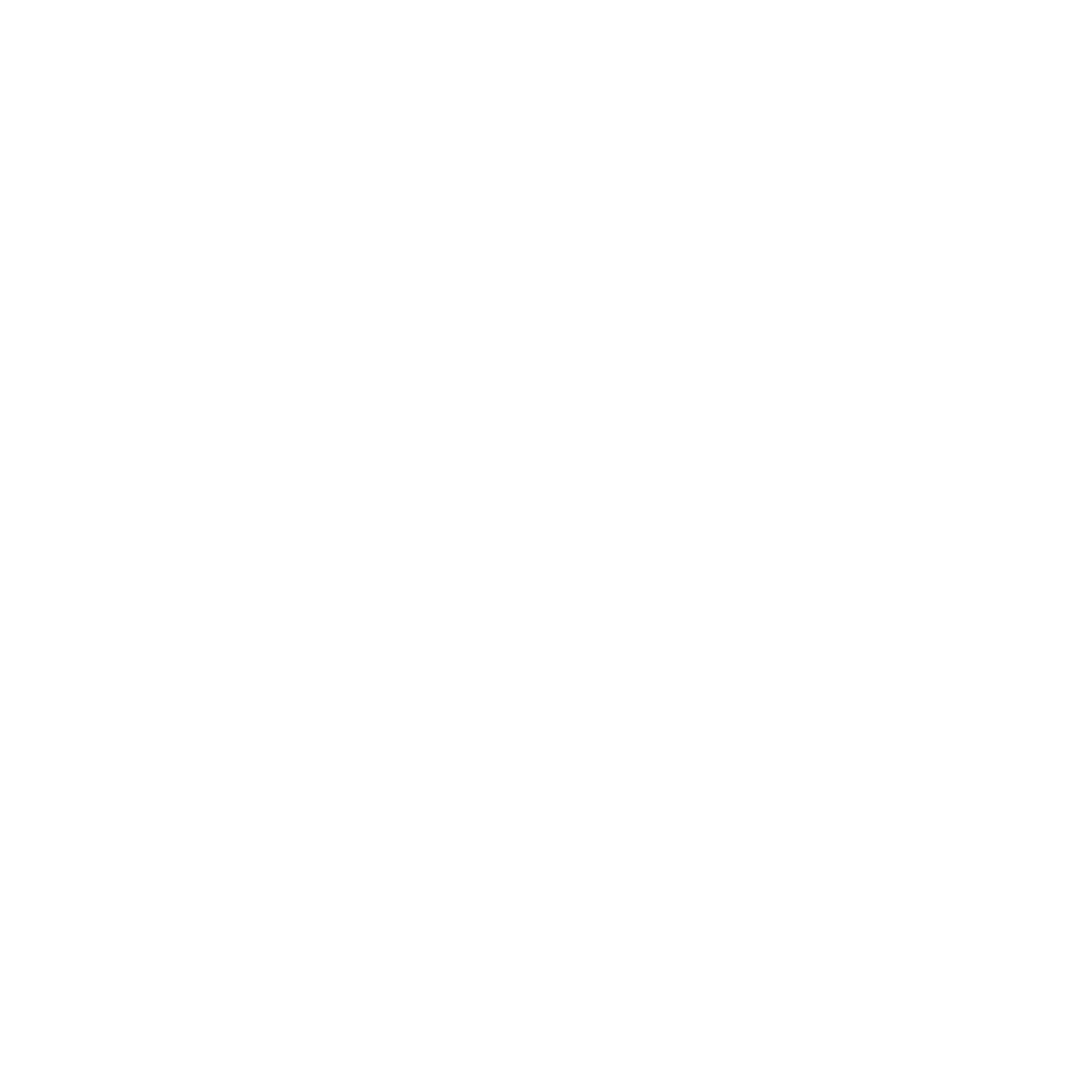 ECA HOLDING